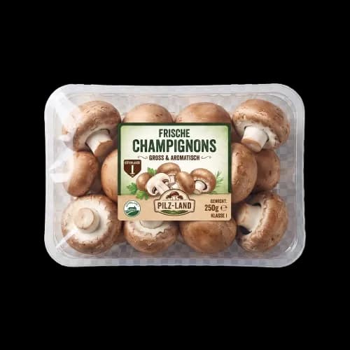 Große Champignons
