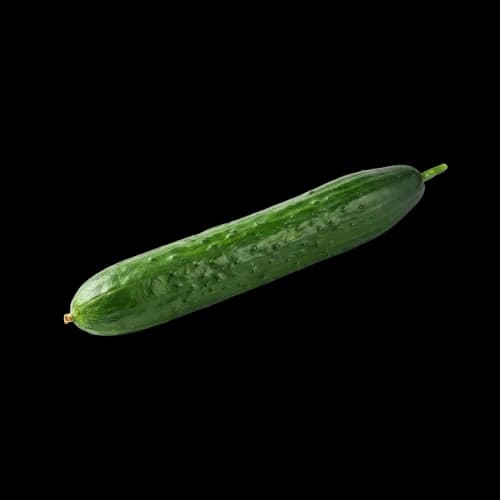 Salatgurke