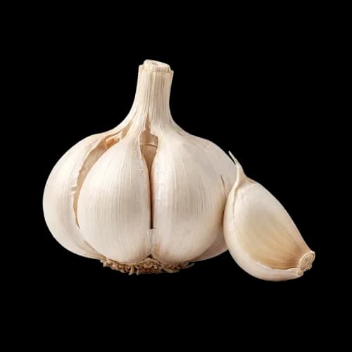 Knoblauch