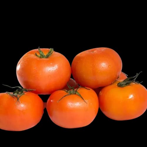 Reife Tomaten